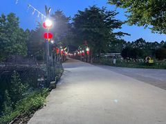 -伟记牛蹄(望牛墩店)