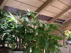 -春暖花开(西溪店)