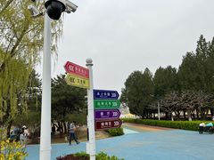 -青龙湖公园