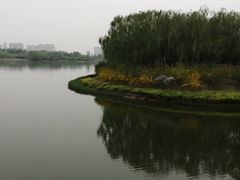 -大兴滨河森林公园