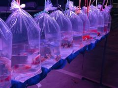 -华声天桥民俗文化园