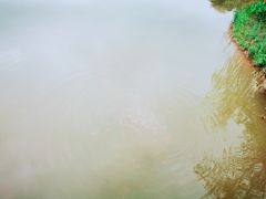 -沐仙湖湿地公园