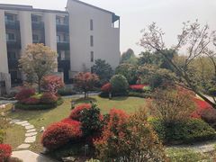 -上海崇明金茂凯悦酒店