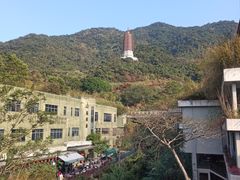 -深圳仙湖植物园
