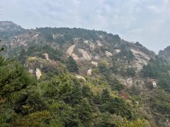 -鲁山国家森林公园