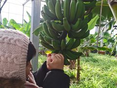 -兴芮温泉度假区