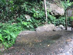 -思远客家菜馆(巴伐利亚店)