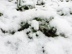 -凯旋公路客运站