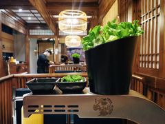 生菜-九田家黑牛烤肉料理(三墩店)