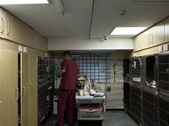 -美联众合爱康动物医院•复杂内科•肿瘤科•牙科•腔镜诊疗中心