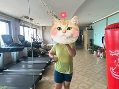 -迈劲健身专业私教(朝青汇店)