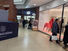 -UGG(燕莎奥特莱斯购物中心店)