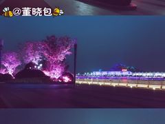 -星光岛