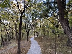 -香山公园