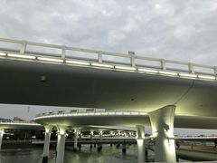 -演武大桥观景平台