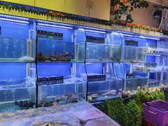 水产区-启东小海鲜(庄先湾路1号店)