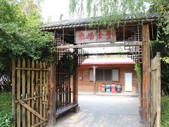 -上海长兴岛郊野公园