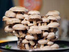 -煲宫猪肚鸡(晶品店)