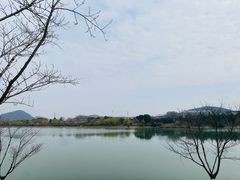 -羊山湖公园