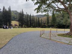 -深圳仙湖植物园
