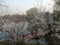 -郭守敬纪念馆