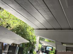 -太平山顶