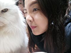 -猫亿天猫咖