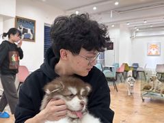 -Let's go狗咖·猫咖·奶狗·桌游(春熙路IFS店)