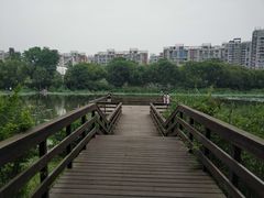 -新江湾城公园