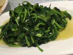 -金蝉食府(维吉奥广场店)