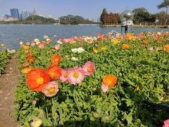 -顺峰山公园