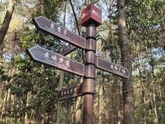 -铁山坪森林公园