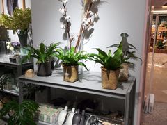 -OCE(熙地港购物中心店)