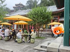 -宫事颐庭·老佛爷贵寿下午茶(颐和园店)