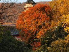 -灵谷景区