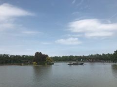 -大湾区中央湿地公园