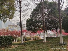 -后襄河公园