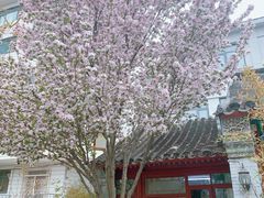 -北京南锣鼓巷亚朵酒店