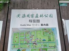 -黄海国家森林公园