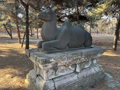 -沈阳市东陵公园