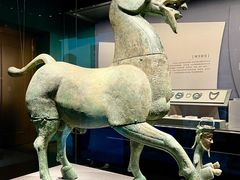 -广西壮族自治区博物馆