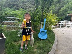 -欢乐松鼠谷