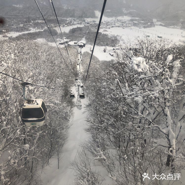 日本长野县白马村滑雪场🎿