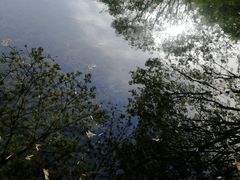 -望江楼公园