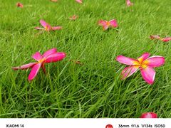 -广州七星岗古海岸遗址科学公园