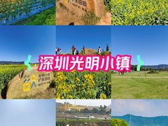 -光明小镇欢乐田园