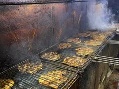 -周记老沈阳焦火鸡架