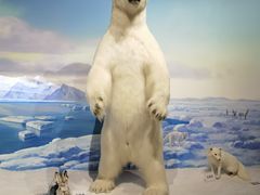 -陕西自然博物馆