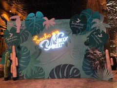 -杭州开元森泊度假乐园