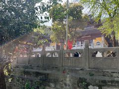 -雨花胜境